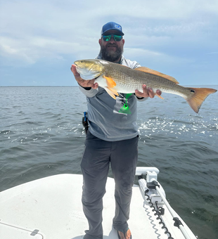 Redfish Rocking In South Padre Island 